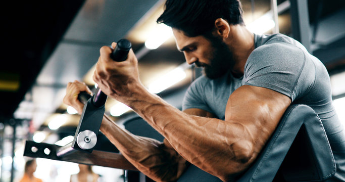 What is an arms fitness workout and Why It Matters