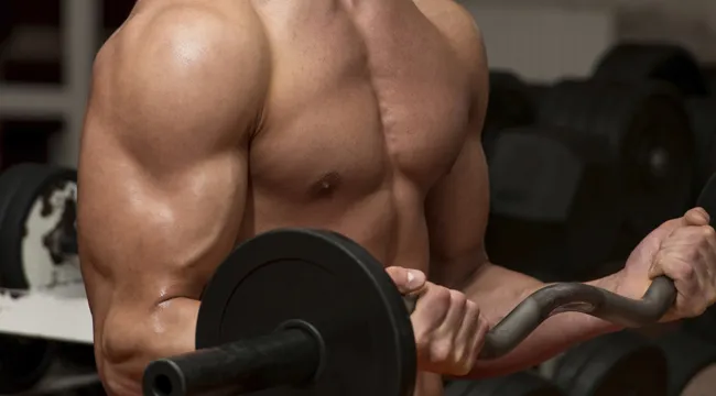 arms fitness workout